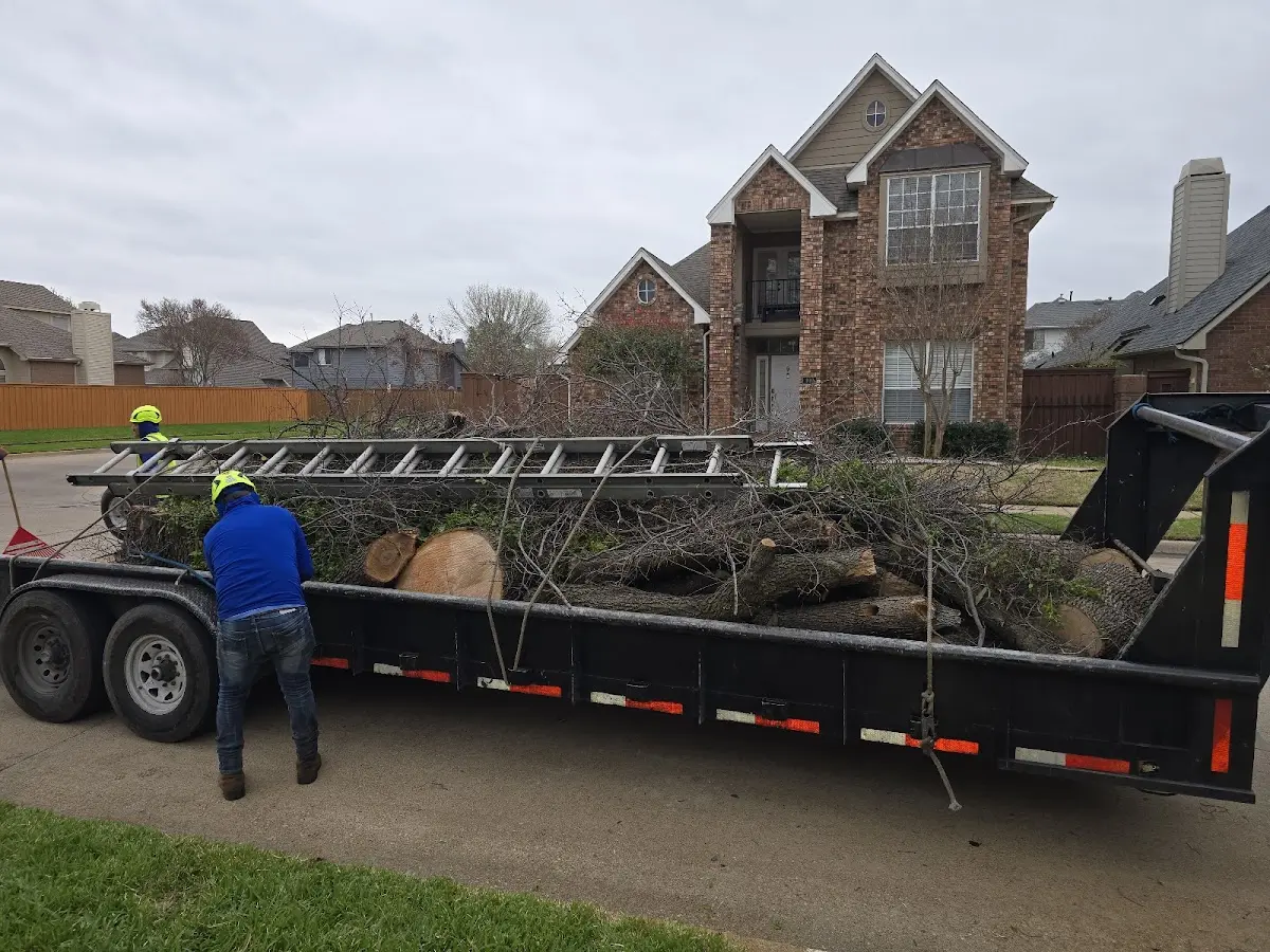 Expert Tree Removal with proper safety equipment in Utica